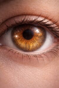 Los ojos no miran el mundo.