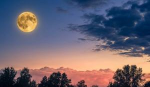 Ilustración atardecer y la luna