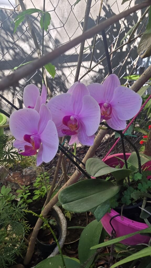 fotografía