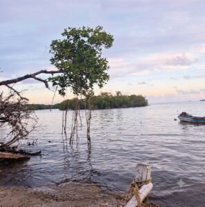 El mar dividido: Entre dos mundos. La ilusión de los sueños.